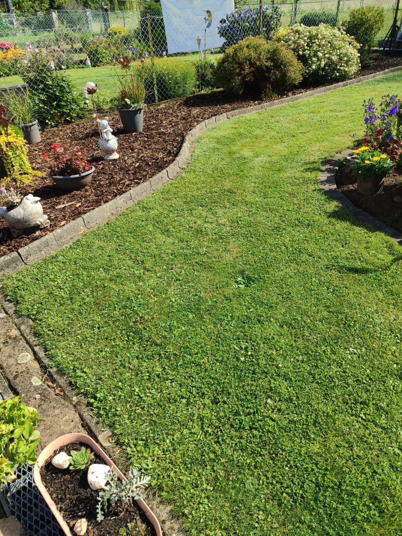 Garten angelegt Grüner Garten mit gepflegtem Rasen und Blumenbeeten mit Gartenservice Imperial